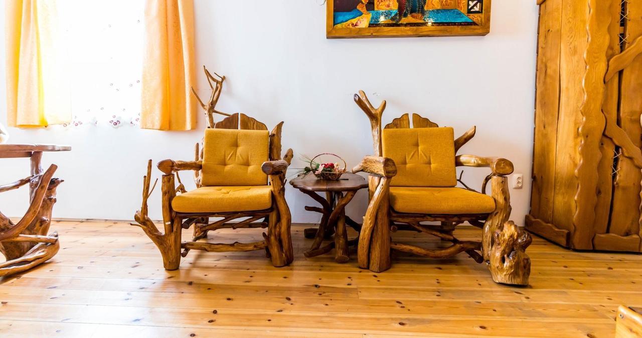 Castelul De Vis Hotel เปโตรชานิ ภายนอก รูปภาพ