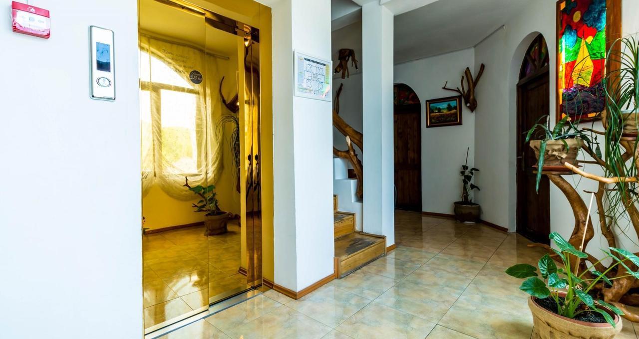 Castelul De Vis Hotel เปโตรชานิ ภายนอก รูปภาพ